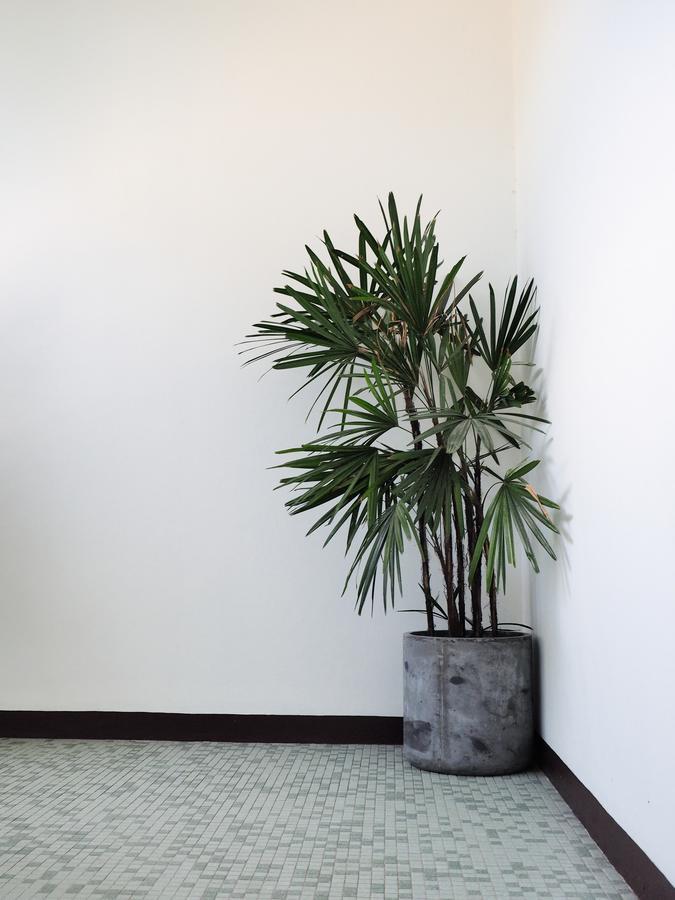 Siri Hotel Phuket Bagian luar foto